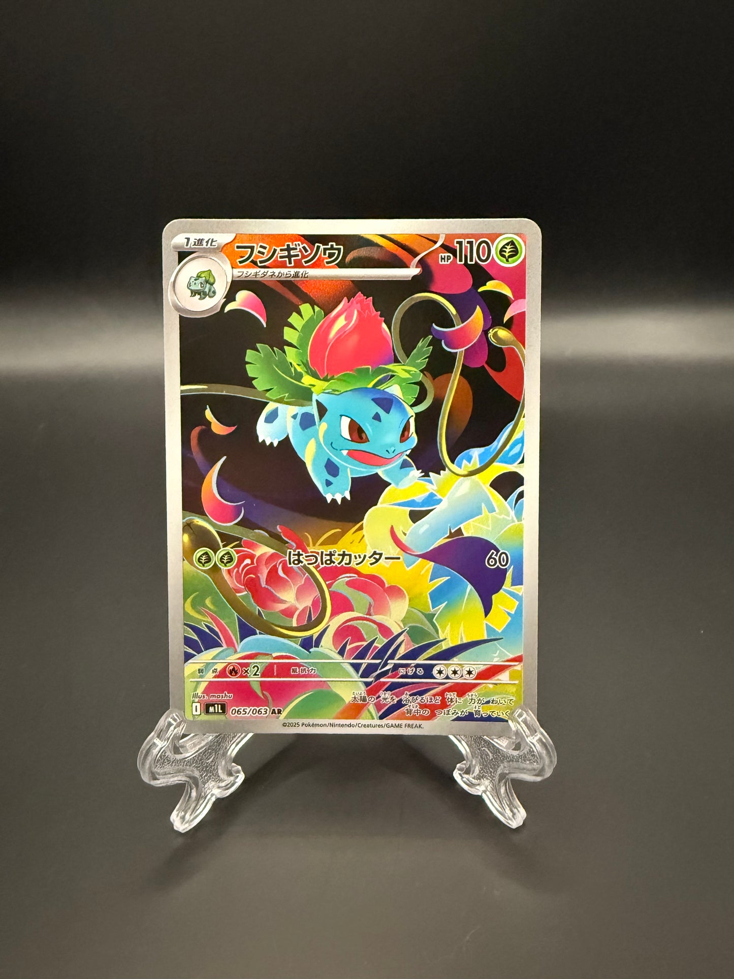 Ivysaur (M1L-065)(JAP)